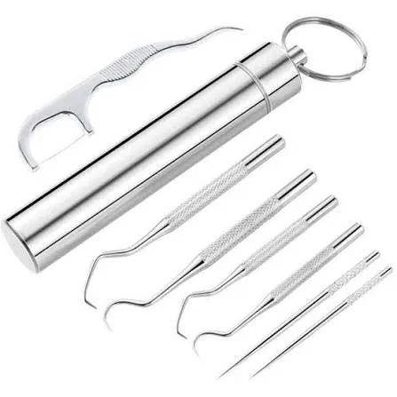 Pocket Size Stainless Steel Toothpick & Dental Cleaning Set (7 pcs)